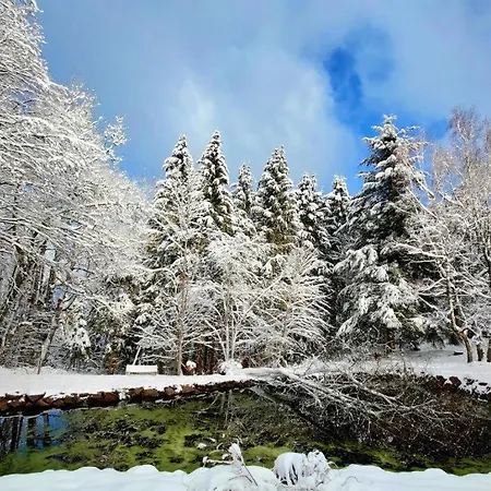 L'escale Du Donon - Blanche